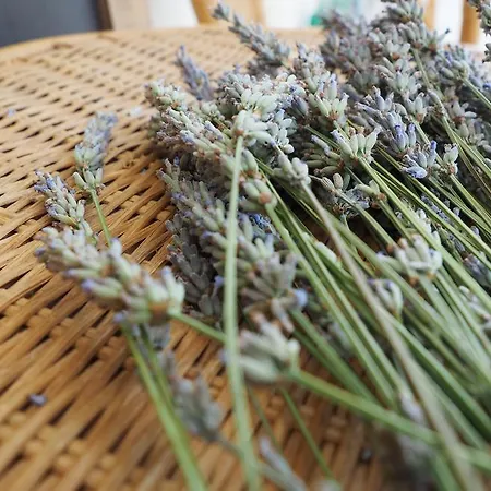 Apartmani Makarska Апартаменти *