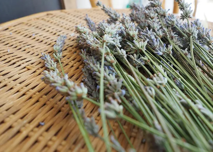 Apartmani Makarska Apartmán *