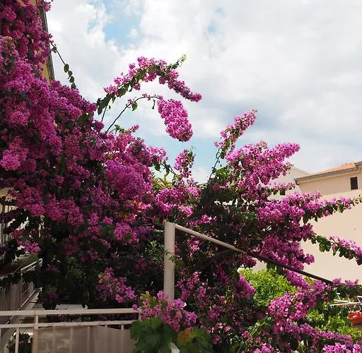 Apartmani Makarska * Makarská